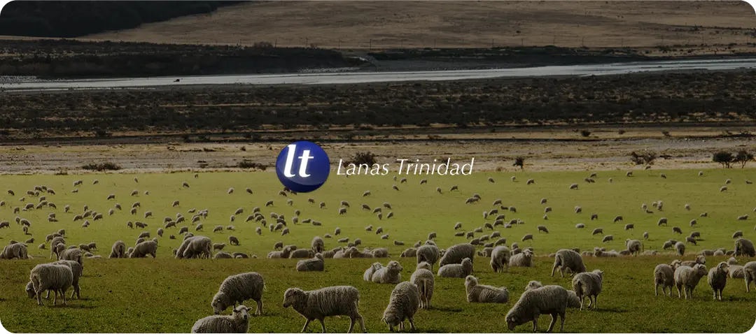 Lanas Trinidad logo over large flock of sheep grazing near river