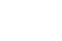 ANDA Logo